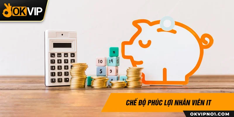 Chính sách lương cho ứng viên IT Website thử việc sẽ là từ 20 đến 70 triệu